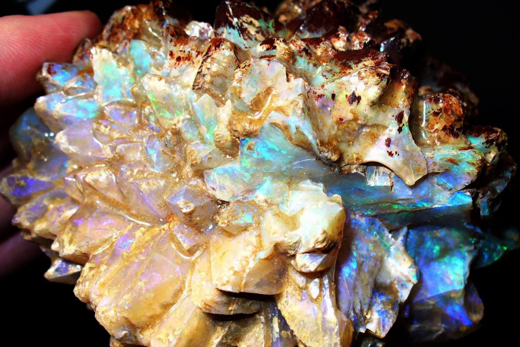 Part-4 Fossilized Opal – Opal Course